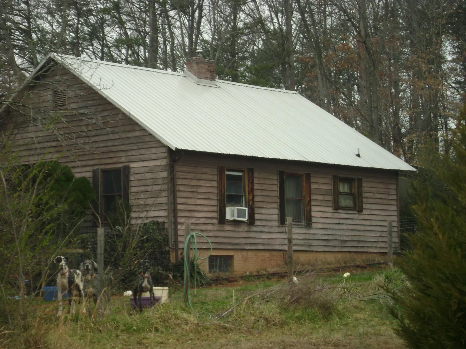White metal roof on an old wood sided farmhouse in West Terre Haute